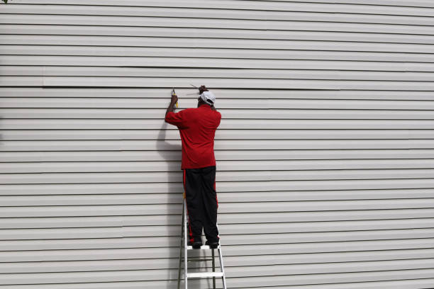 Best Steel Siding Installation  in Gruetli Laager, TN
